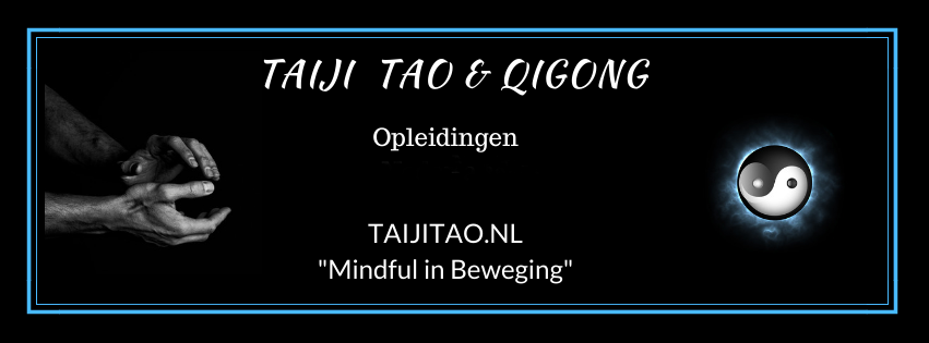 TAIJI TAO & QIGONG Opleidingen Logo